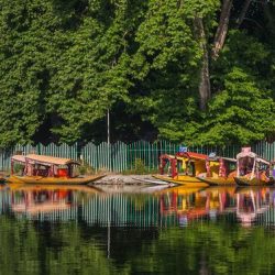 dallake