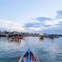 dallake