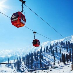 Gulmarg - Shayas Tour And Travels