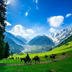 gulmarg1ps